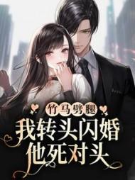 大明国师姜星火精校版