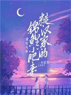 夏芳菲陆南辞是什么