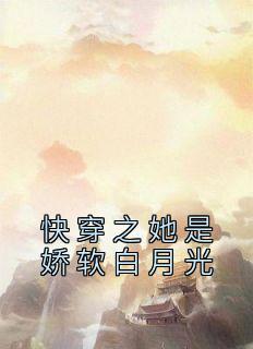 沈玥陆时泽免费阅读