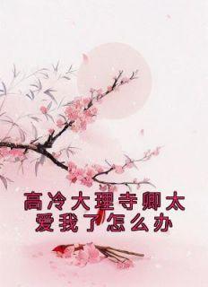 黑梅糖 祁南辞